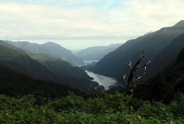 Doubtful Sound, New Zealand